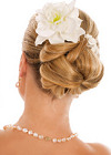 Wedding hair prices coventry